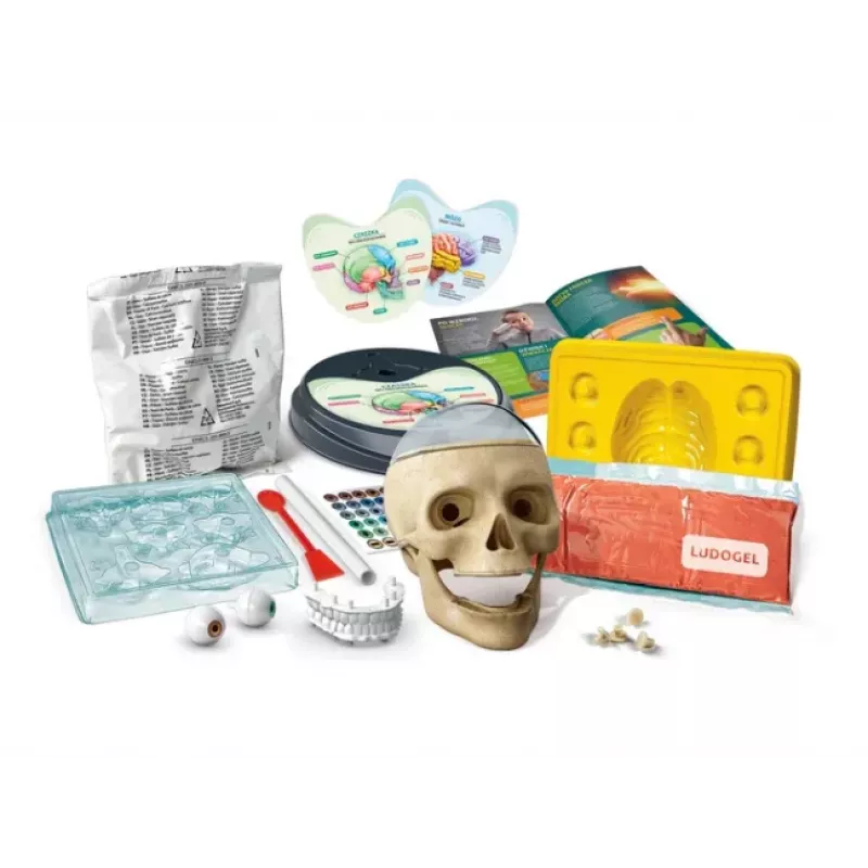 Clementoni Scientific Fun Crazy Anatomy Kit - poola keel - 50697
