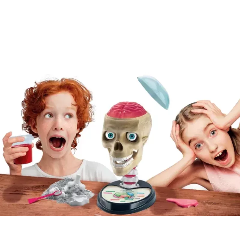 Clementoni Scientific Fun Crazy Anatomy Kit - poola keel - 50697