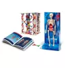 Science Fun Human Body Poola keeles Clementoni 60249