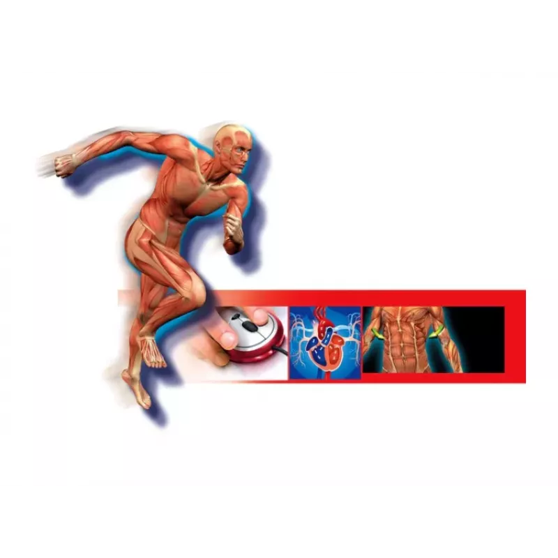 Science Fun Human Body Poola keeles Clementoni 60249