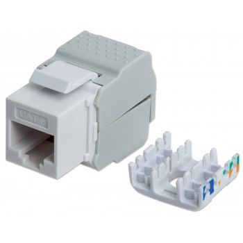 Intellinet 167062 Cat6 UTP Keystone Jack, ilma tööriistata, valge