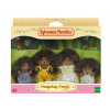 KAISER ELEKTRO Sylvanian Families Hedgehog Family of Stachel - kollektsioneeritav fliisitud loomafiguuride mängukomplekt, 4 figuuri kammiga, alates 3. eluaastast