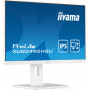 Iiyama ProLite XUB2492HSU-W5 23,8-tolline Full HD IPS monitor USB-hubiga ja reguleeritava kõrgusega alusega