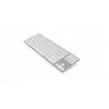 Alumiiniumklaviatuur Mac Tenkeyless Hõbedane