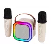 Karaoke kõlar, KARAOKE RGB Bluetooth kõlar, 30 W
