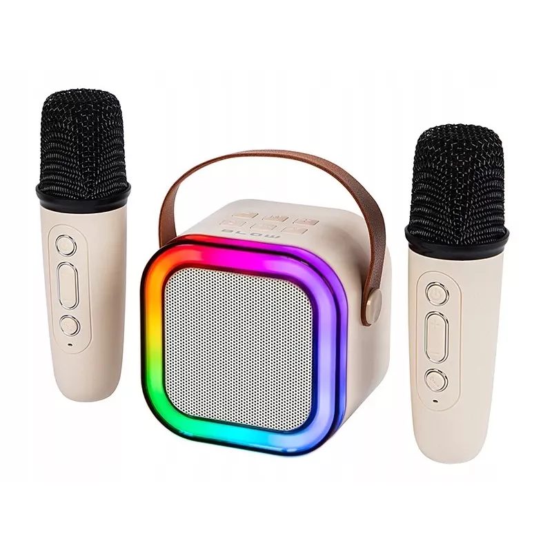 Karaoke kõlar, KARAOKE RGB Bluetooth kõlar, 30 W