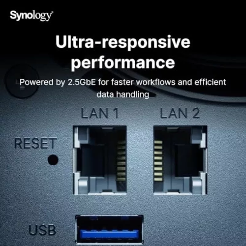 Synology DiskStation DS925+ NAS/server Ryzen Embedded V1500B 4 GB DDR4 0 TB Must