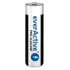 Ühekordne leelispatarei everActive LR0310PAK AAA 1,5 V 1250 mAh pakis 10 tk