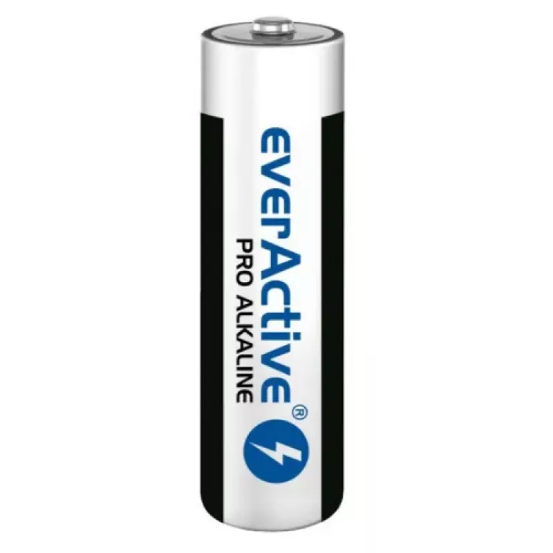 Ühekordne leelispatarei everActive LR0310PAK AAA 1,5 V 1250 mAh pakis 10 tk