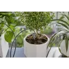 Tilkniisutussüsteem Gardena 13366-20 Vooliku pikkus 30 m Must