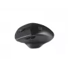 Natec Genesis Mustbird 2 hiir RF juhtmeta optiline 1600 DPI