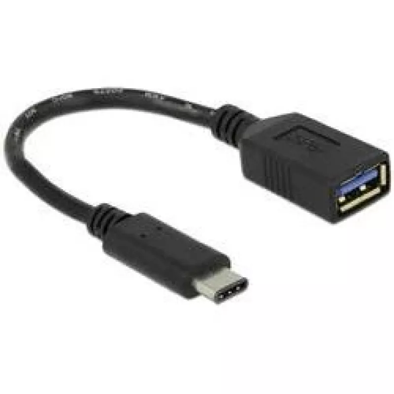 Delock USB-adapter - USB Type A (naissoost) kuni 24-kontaktiline USB-C (meessoost)