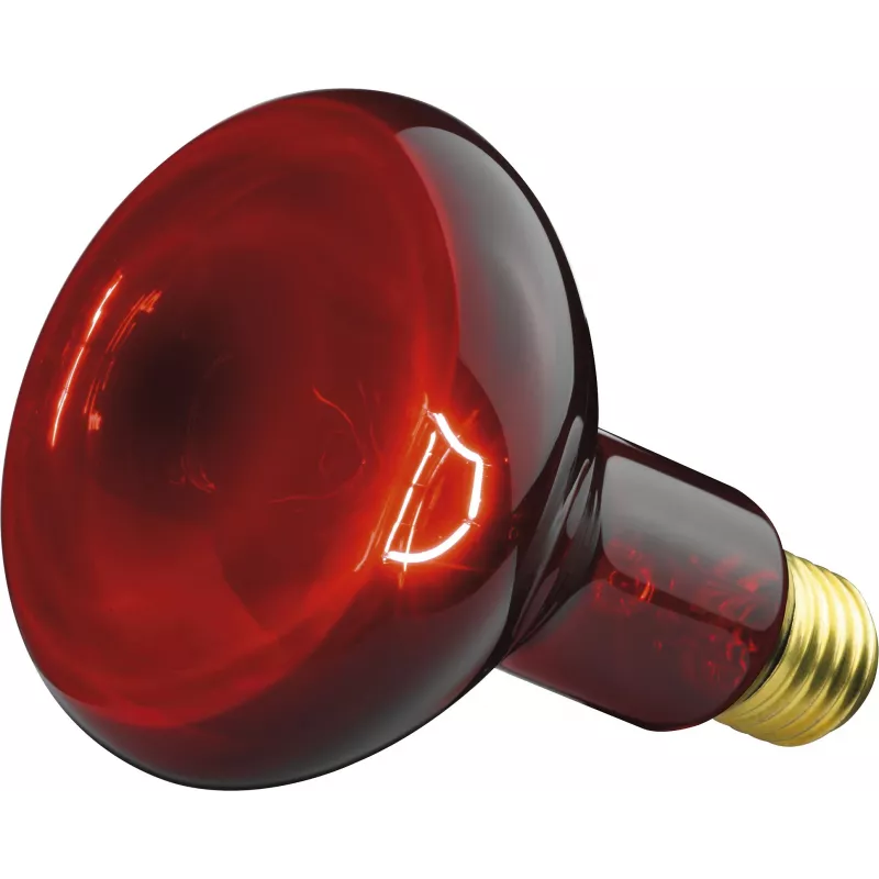 Beurer IL 11 infrapuna-lamp 100 W