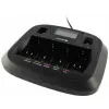 Akulaadija everActive NC-900U Universal DC — laeb AA, AAA, C, D, 9V, kuni 6 elementi, must