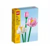 LEGO ehituskomplekt LEGO 40647 Lootoseõied — Botanical Collection modulaarne mudel, 220 detaili, kõrgus 300 mm, vanusele 8+