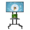Monitorialus Maclean MC-739 165.1 cm (65 tolli) põrandale Must