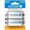 Korduvkasutatav aku everActive EVHRL20-10000 D NiMH 1,2 V 2 tk