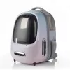 Smart Cat Carrier PetKit Pink