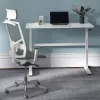 Käsitsi reguleeritava kõrgusega laud Ergo Office, max 40 kg, max kõrgus 117 cm, lauaplaadiga seismiseks ja istumiseks töötamiseks, ER-401 W