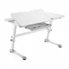 Ergo Office laste ergonoomiline kõrgusega reguleeritav laud, hall, max 100kg, ER-417 2cz