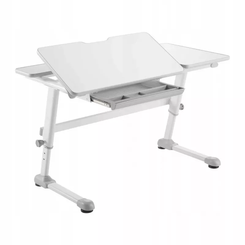 Ergo Office laste ergonoomiline kõrgusega reguleeritav laud, hall, max 100kg, ER-417 2cz