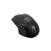 Juhtmega optiline hiir NATEC NMY-2047 USB Type-A, 4000 DPI, 6 nuppu, paremakäeline, taustvalgustus