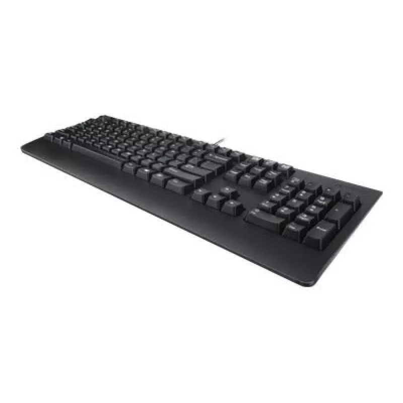 Lenovo 4X30M86918 klaviatuur Office USB QWERTY US English Must