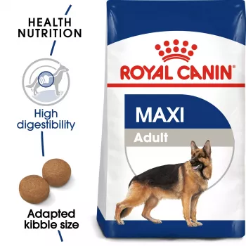 Kuiv koeratoit royal canin SHN Maxi Adult 4 kg — täisväärtuslik linnulihavalem suurtele tõugudele (25–45 kg), 26% valku