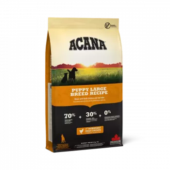 ACANA Dog Puppy Large Breed - kuiv koeratoit - 17kg