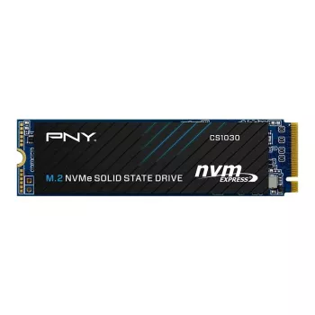 PNY CS1030 256GB M.2 2280 PCIe NVMe Gen3 x4 sisemine pooljuhtketas (hulgipakend)