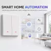 QOLTEC nutikas WiFi 2-kohaline taimeriga lüliti Tuya valge
