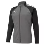 Puma teamLIGA Training meeste veerandtõmblusega treeningpluus Puma Black-Asphalt suurus L