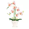 LEAN TOYS Orhidee ehitusklotsid Orhidee potis Roosa ja Valge 718 tk