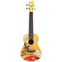 Moana M-100 Palm Trees Concert Ukulele Mahagoni Aquila keeltega