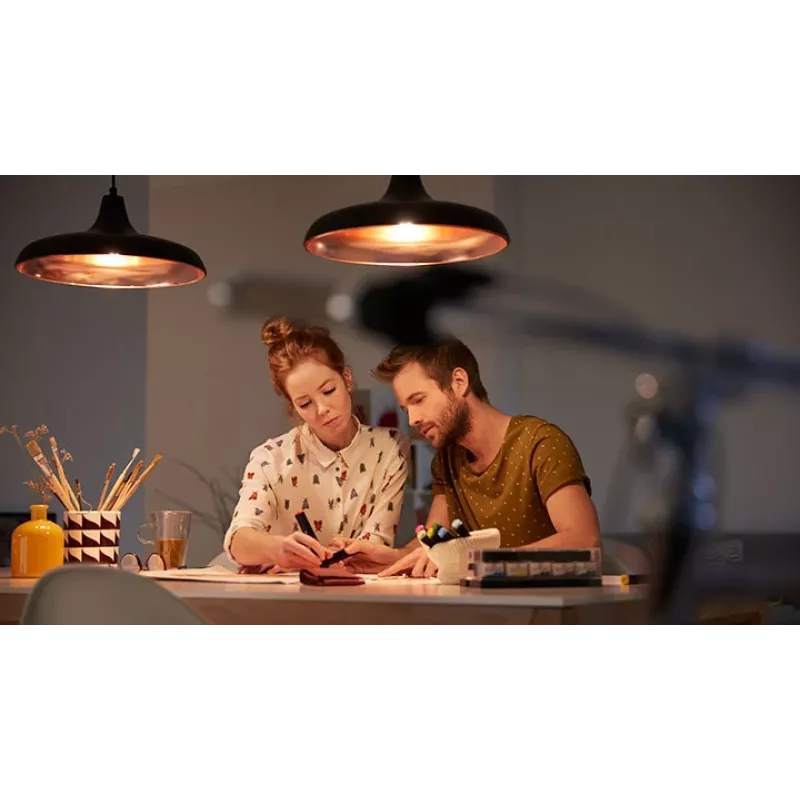 Philips Smart Smart Plug Type-F 3PK Matter