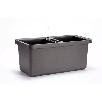 URBALIVE BERBERIS DUO isekastuv lillepott 78 x 39 cm hall