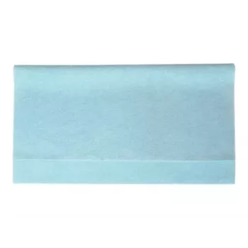 Panasonic CF-VNC002U - Puhastuslapid - sinine (10-pakk)