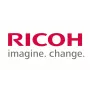 Ricoh D194-2485 (D1942485) Tihend: Terale: Kandke