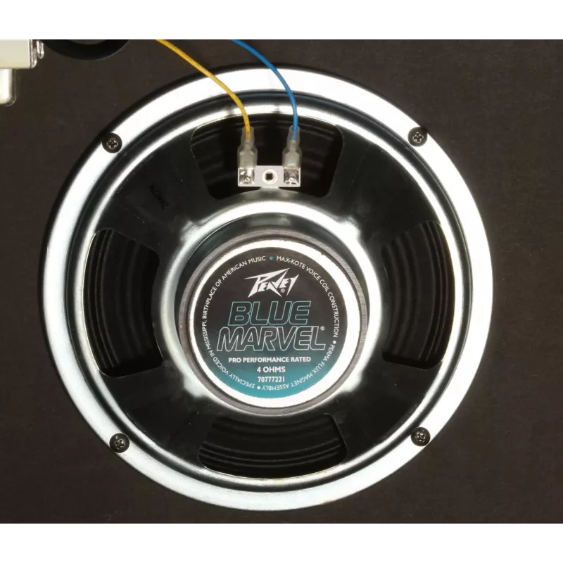 Peavey Electronics Rage 158 - 15W kitarrivõimendi