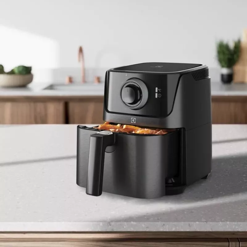 Electrolux E5AF1-4GB õhufritüür