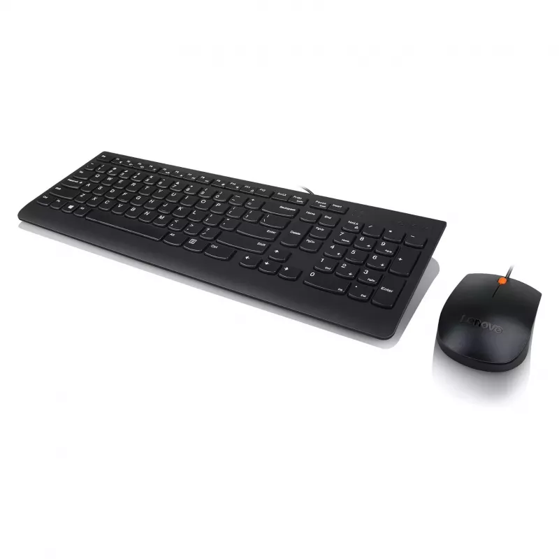 Lenovo 300 USB Keyboard - US English QWERTY - Must