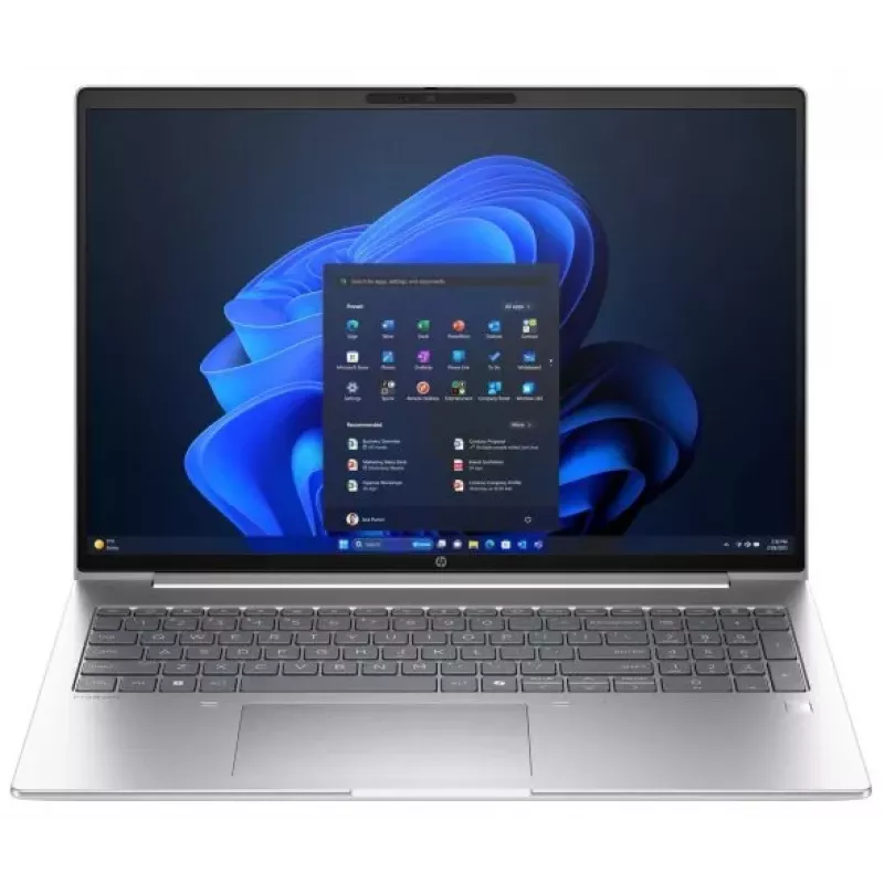 HP ProBook 4 G1a 16 inch WUXGA sülearvuti, AMD Ryzen 5 230, 16GB RAM, 256GB SSD, Windows 11 Pro, Pike Silver