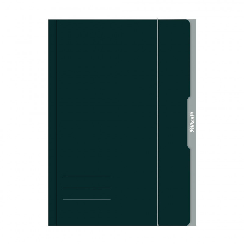 Pelikan 276856 Ringluskaust A3 Papp Roheline
