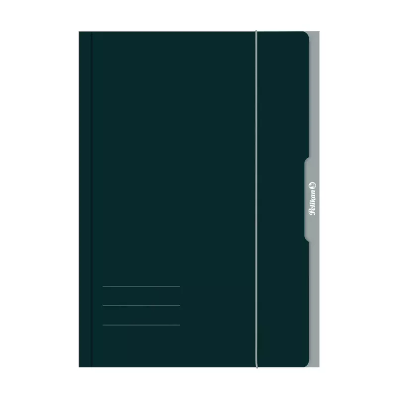 Pelikan 276856 Ringluskaust A3 Papp Roheline