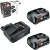 Bosch 18V Starter Set 2 x 2.5 Ah Akud + AL 18V-44 Laadija (1600A031T5)
