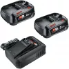 Bosch 18V Starter Set 2 x 2.5 Ah Akud + AL 18V-44 Laadija (1600A031T5)