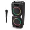 MEDION PE-1 Pure Party Speaker Black - Bluetooth 5.0, 40W RMS, 2x 6.5 inch kõlarid, Karaoke, TWS, LED tuled, Power Bank