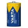 VARTA Industrial Pro D leelispatarei 1.5V 17000mAh (1 pakk) - LR20 Mono