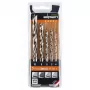 ALPEN-MAYKESTAG Alpen HSS-Cobalt PCTM 5-osaline puuriterade komplekt