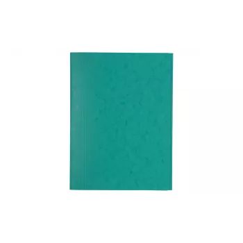 Exacompta 56415E Aruandekaust A4 Roheline 200 Lehte 3 mm Selg Taaskasutatud Papp